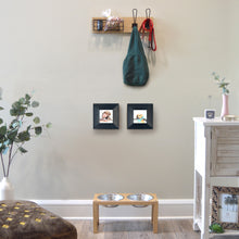 Load image into Gallery viewer, Curated Pet Organizer Set