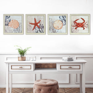 Ava Barrett Framed Coastal 16" x 16" Coral Prints, 4-pc Wall Art Set