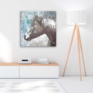 Teal Horse Portrait 35" X 35" Animals Wrapped Canvas Wall Art, by Prinz