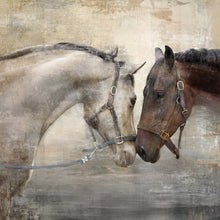 Load image into Gallery viewer, Prinz Loving Horse Duo 30&quot; x 30&quot; Wrapped Canvas Wall Art