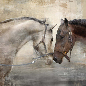 Prinz Loving Horse Duo 30" x 30" Wrapped Canvas Wall Art