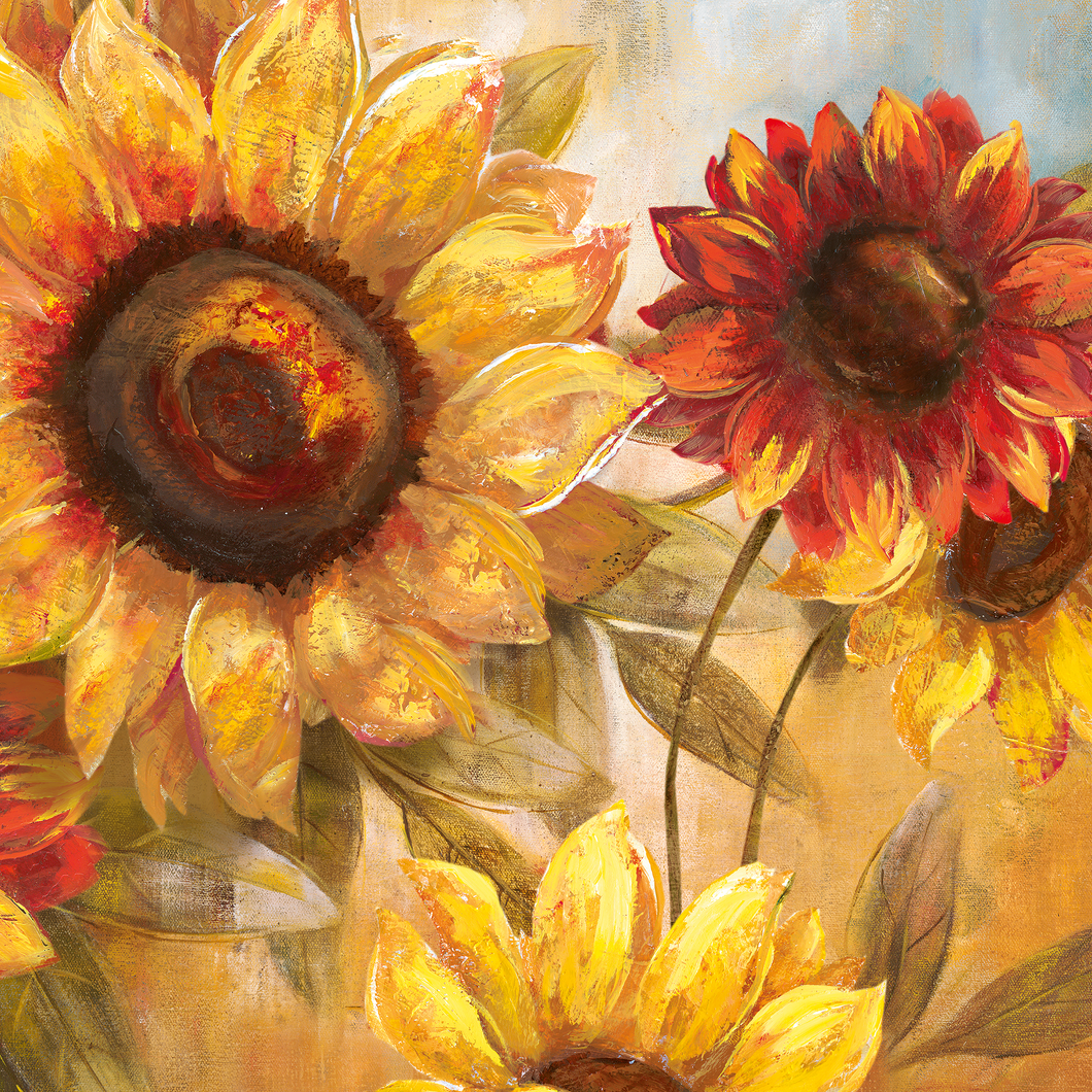 Harvest Sunflower Cheer 19.5-inch by 19.5-inch Canvas Wall Decor